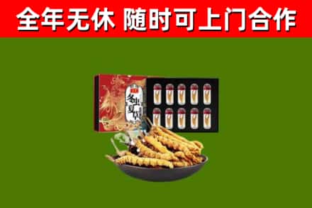 贺州回收冬虫夏草价格